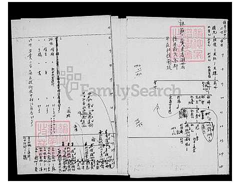 [萧] 广东萧氏梅轩公支派家谱 (台湾) 广东萧氏梅轩公支派族谱.pdf