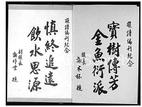 [谢] 谢氏家谱 (台湾) 谢氏族谱_1600-1973.pdf