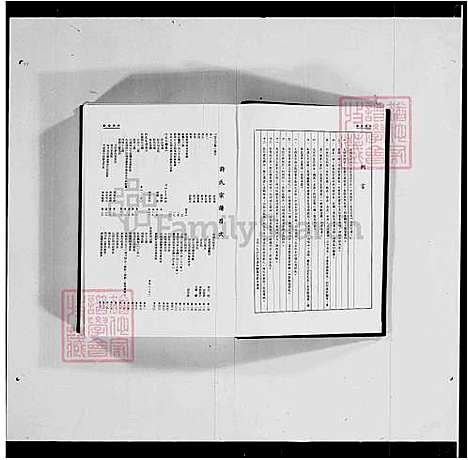 [许] 许氏宗谱 (台湾) 重复拍摄-1979 微捲1捲-35厘米.pdf