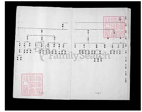 [许] 许氏家谱 (台湾) 许氏族谱.pdf