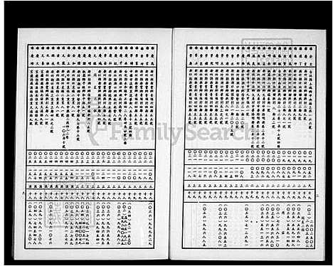 [杨] 杨氏家谱-智旺公派下 (台湾) 杨氏族谱.pdf