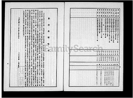 [杨] 杨氏家谱-智旺公派下 (台湾) 杨氏族谱.pdf