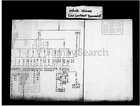 [杨] 弘农杨氏家谱 (台湾) 弘农杨氏族谱.pdf