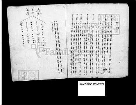 [杨] 杨氏家谱 (台湾) 杨氏族谱.pdf