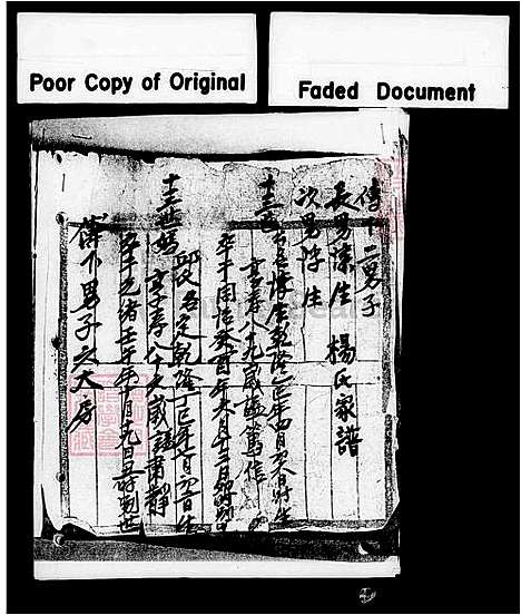 [杨] 杨氏家谱 (台湾) 杨氏族谱.pdf