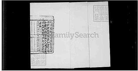 [杨] 杨氏家谱 (台湾) 杨氏族谱.pdf