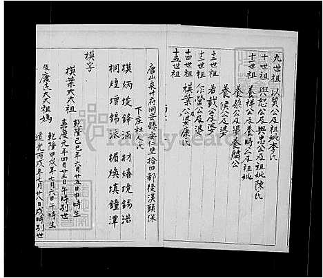 [杨] 杨氏家谱 (台湾) 杨氏族谱.pdf