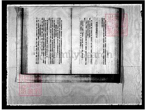 [张] 张氏家谱 (台湾) 重复拍摄-1991 微捲1捲-16厘米.pdf