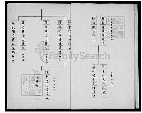 [张] 张氏家谱 (台湾) 张氏祖谱.pdf