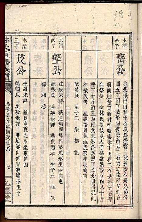 林氏重修族谱_林望亭_4册_九龙堂_清同治5年(1866_林氏重修家谱_四