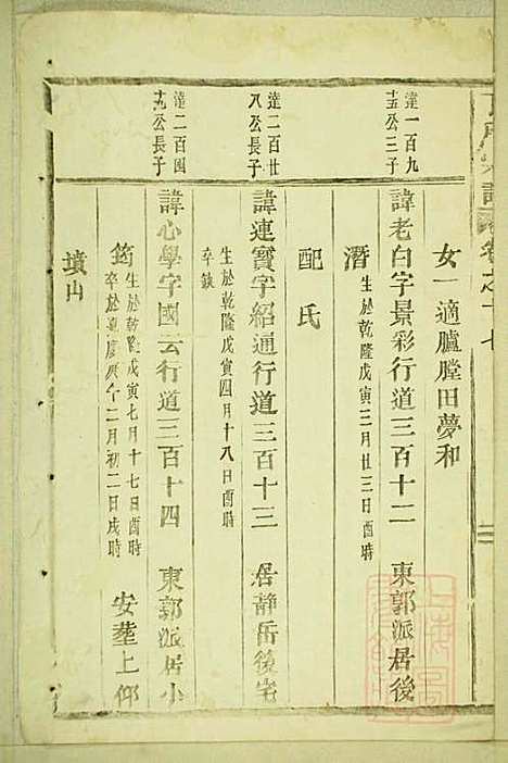 丁氏宗谱_15册_缙云丁氏_清宣统元年(1909_丁氏家谱_七