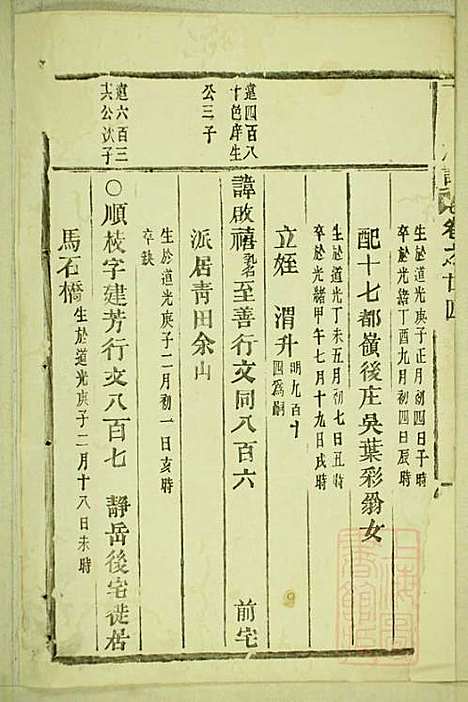 丁氏宗谱_15册_缙云丁氏_清宣统元年(1909_丁氏家谱_十