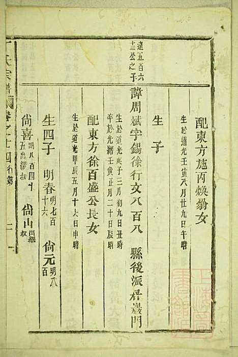 丁氏宗谱_15册_缙云丁氏_清宣统元年(1909_丁氏家谱_十