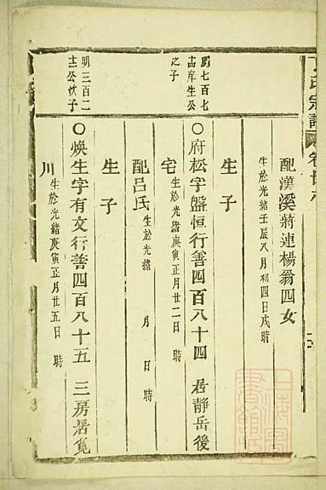 丁氏宗谱_15册_缙云丁氏_清宣统元年(1909_丁氏家谱_十三