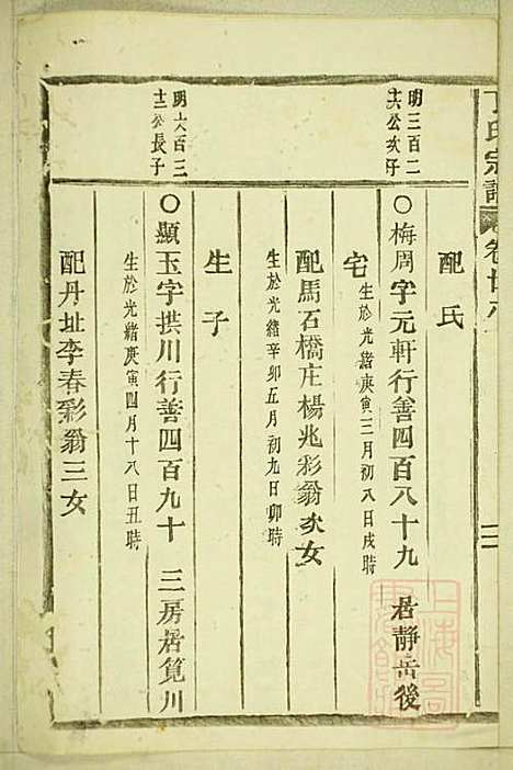 丁氏宗谱_15册_缙云丁氏_清宣统元年(1909_丁氏家谱_十三