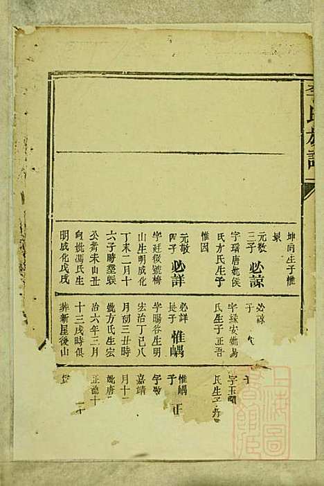 李氏族谱_李永宝_9册_陇西堂_清咸丰10年(1860_李氏家谱_八