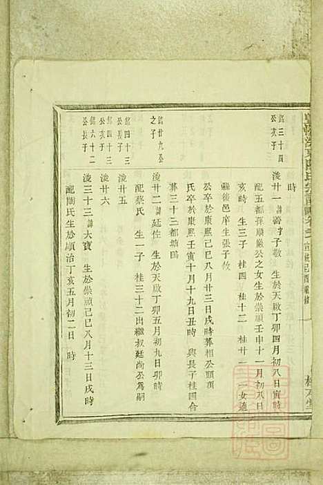 暨阳浣东陈氏宗谱_陈海珊_31册_树本堂_清宣统元年(1909_暨阳浣东陈氏家谱_二二