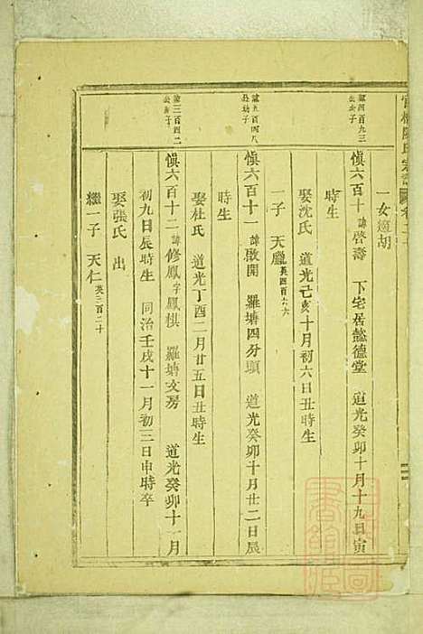 官桥陈氏宗谱_陈人宰_29册_东阳陈氏_清同治10年(1871_官桥陈氏家谱_十九