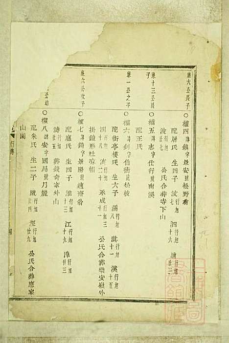 暨阳嵩山张氏宗谱_张阿龙_9册_敦睦堂_清道光5年(1825_暨阳嵩山张氏家谱_九