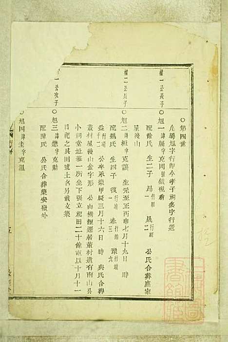 暨阳嵩山张氏宗谱_张阿龙_9册_敦睦堂_清道光5年(1825_暨阳嵩山张氏家谱_九