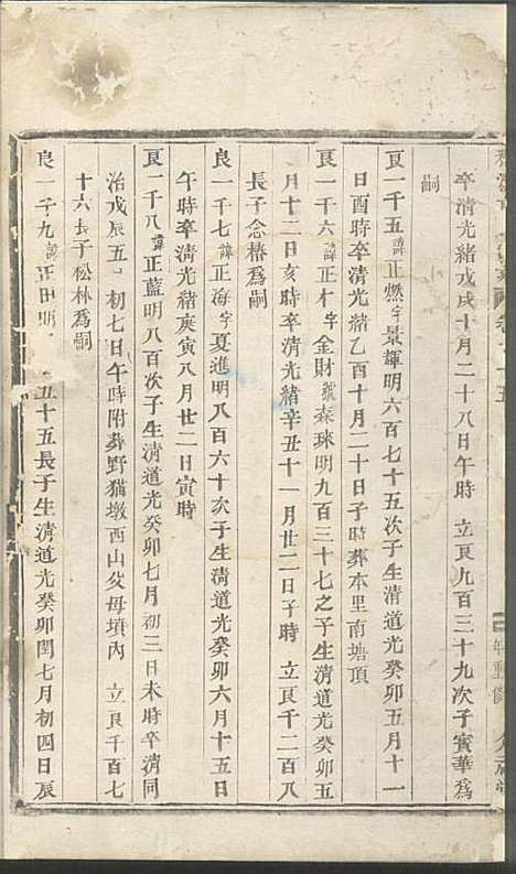 雅溪卢氏家乘_10册_介祉堂_民国18年(1929_雅溪卢氏家乘_九