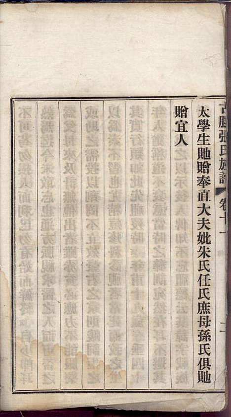 古滕张氏族谱_张星洲_12册_民国二十五年(1936_古滕张氏家谱_十一