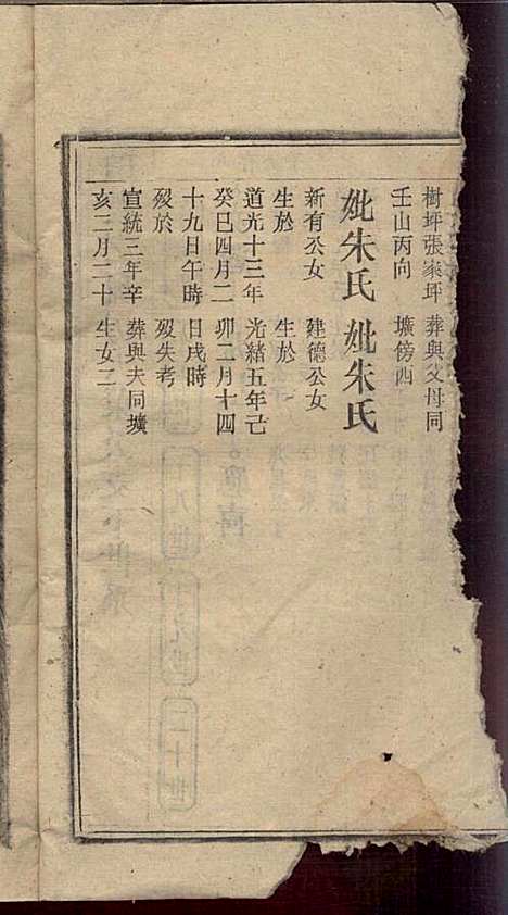 戴氏宗谱_戴文广_20册_注礼堂_民国34年(1945_戴氏家谱_十三