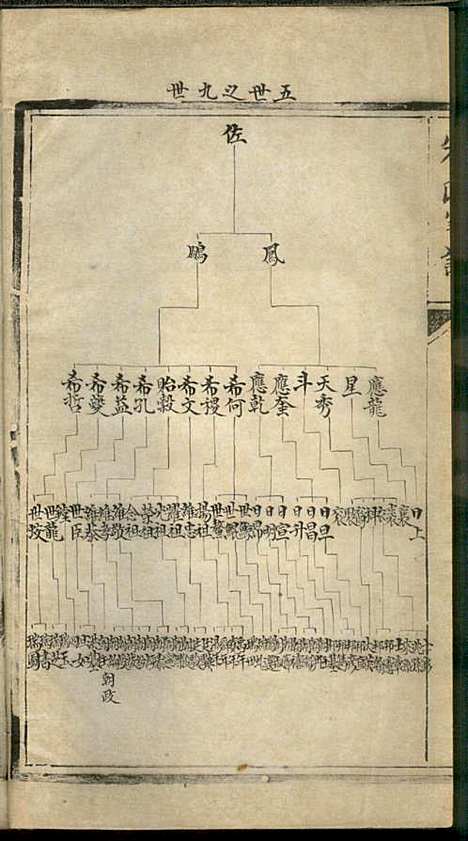 朱氏家谱_朱洁甫_10册_松江朱氏_民国24年(1935_朱氏家谱_八