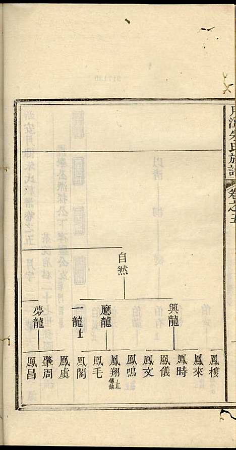 新安月潭朱氏族谱_朱承铎_14册_新安朱氏_民国20年(1931_新安月潭朱氏家谱_三