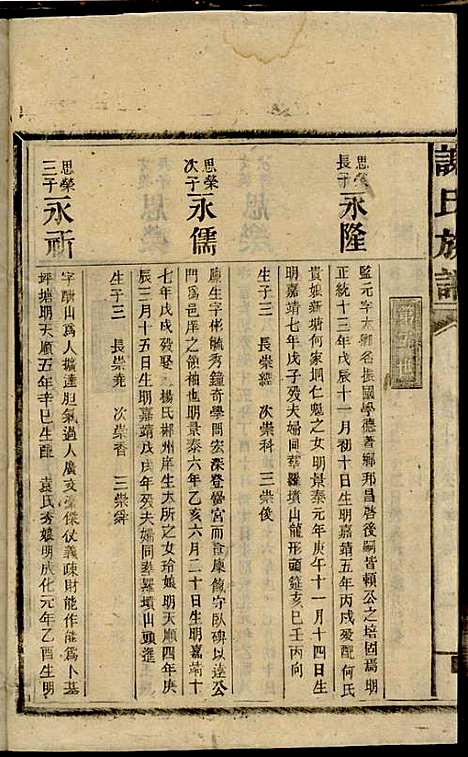 谢氏族谱_谢龙文_18册_宝树堂_民国16年(1927_谢氏家谱_十四