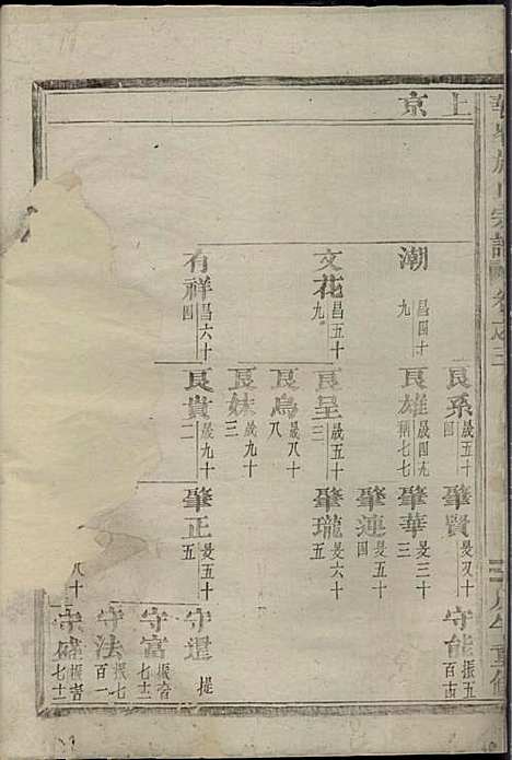 华峰施氏宗谱_8册_金华施氏_民国7年(1918_华峰施氏家谱_二