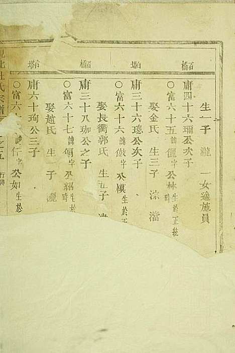 岘西杜氏宗谱_22册_东阳杜氏_民国13年(1924_岘西杜氏家谱_十三