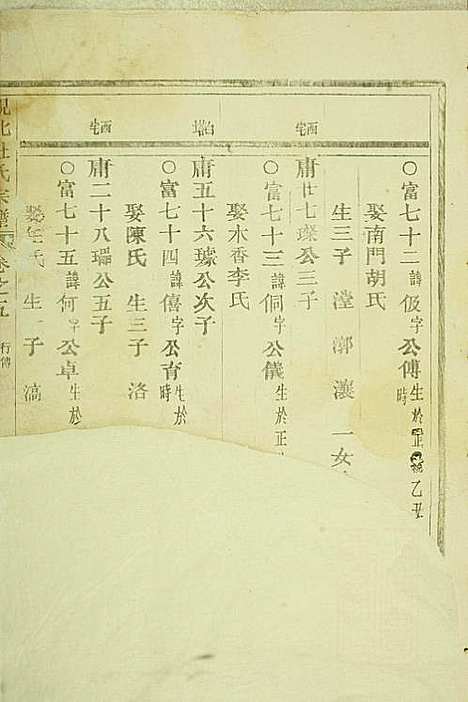 岘西杜氏宗谱_22册_东阳杜氏_民国13年(1924_岘西杜氏家谱_十三