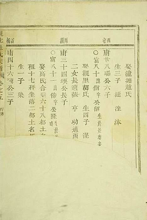 岘西杜氏宗谱_22册_东阳杜氏_民国13年(1924_岘西杜氏家谱_十三