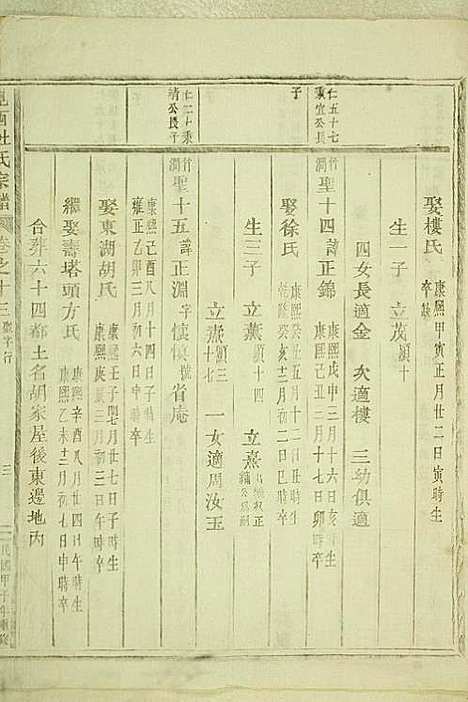 岘西杜氏宗谱_22册_东阳杜氏_民国13年(1924_岘西杜氏家谱_十七