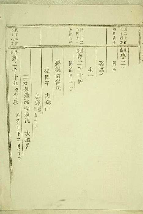 岘西杜氏宗谱_22册_东阳杜氏_民国13年(1924_岘西杜氏家谱_二一