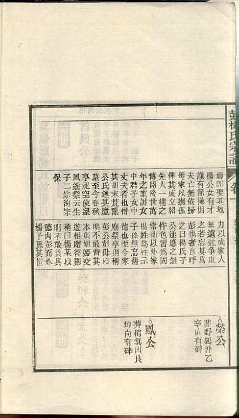 蘖岭彭杨氏续修宗谱_杨世珍_10册_民国36年(1947_蘖岭彭杨氏续修家谱_二