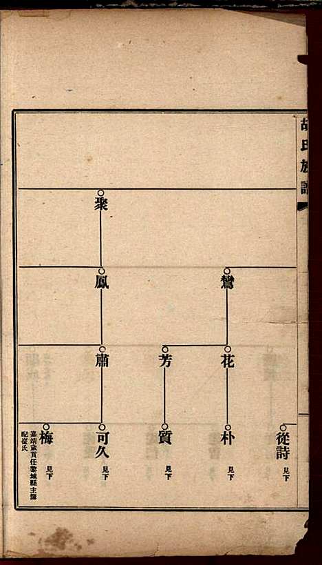 胡氏族谱_胡树棠等_8册_民国二十四年(1935_胡氏家谱_二