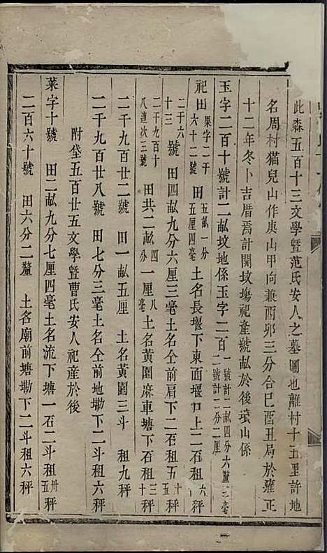 东山傅氏十一修宗谱[清]傅乐士_木活字本;37册_金华傅氏_清乾隆52年(1787_东山傅氏十一修家谱_十