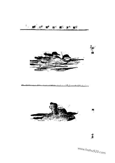 《东方杂志》1905年_第2卷第10期_东方杂志_光绪年