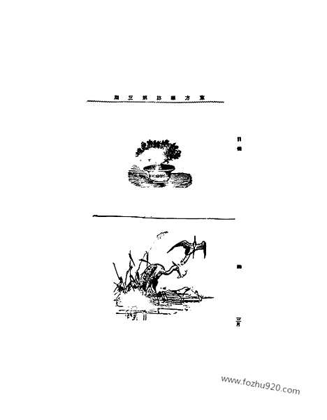 《东方杂志》第3_3_东方杂志_光绪年