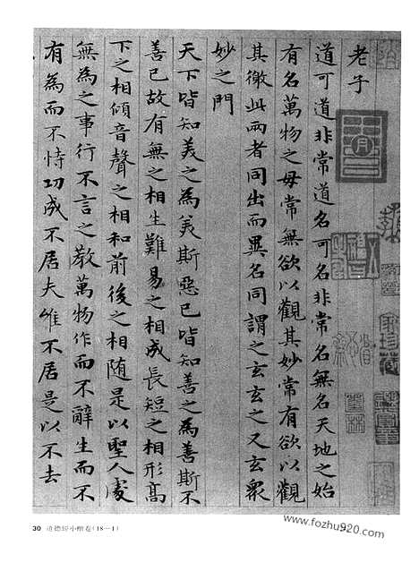 《中国书法全集》第44卷_元代编_赵孟颒卷二_超星格式_书法绘画摄影