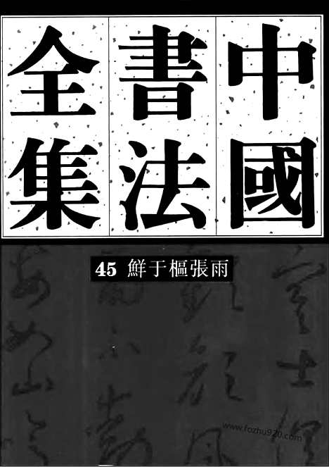 《中国书法全集》第45卷_元代编_鲜于枢_张雨卷_书法绘画摄影