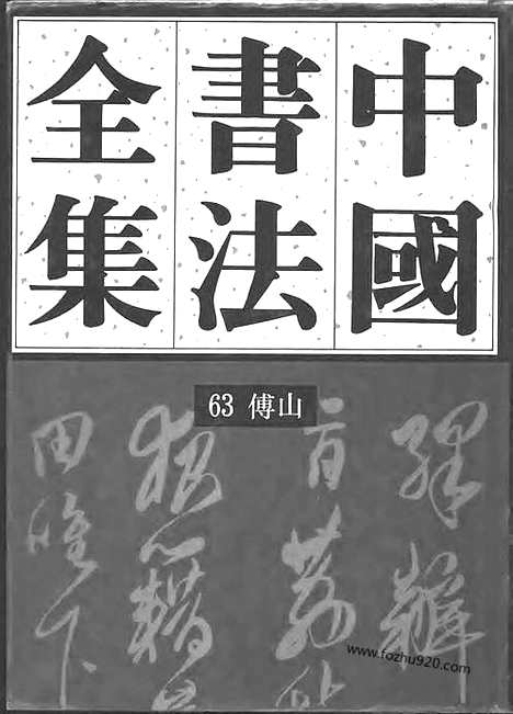 《中国书法全集》第63卷_清代编_傅山卷_书法绘画摄影