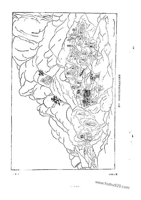 《文物》1981年07_文物杂志