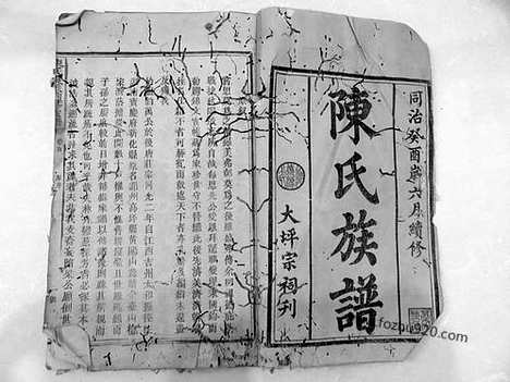 《陈氏续修族谱》同治十二年癸酉_1873湖南安化刻本_遂宁文库