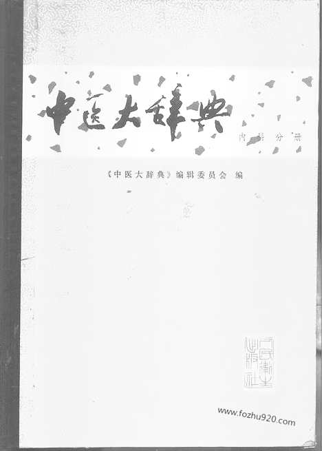 《中医大辞典》内科分册_试用扫描版_中医大辞典