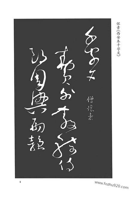 《中国书法大观》28_草书第二卷_中国书法大观