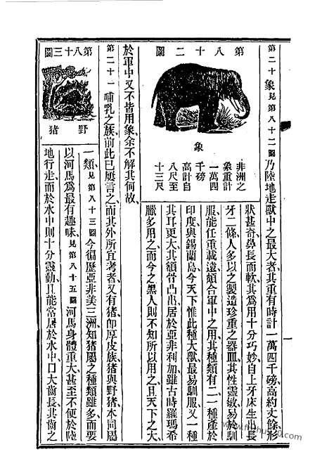 《格致新报》7_11册光绪24年_格致新报馆编_近代中国史料丛刊