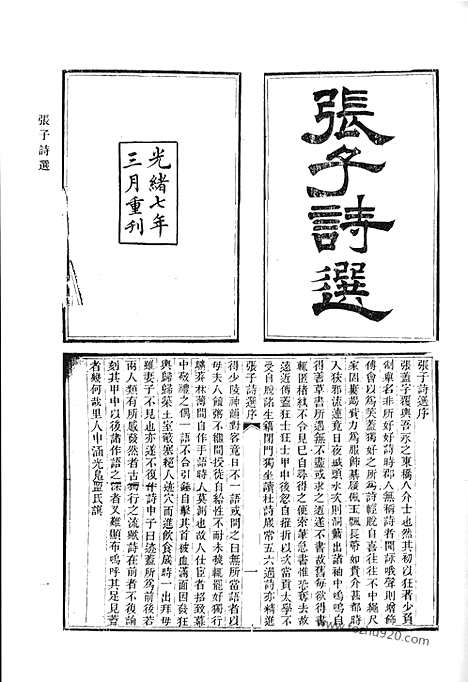 《清代诗文集汇编》二一_张子诗选_定园诗集_青严集_水田居存诗_水田居文集_萧然吟_读史亭诗集_清代诗文集汇编